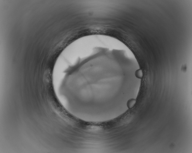 X0000115170649200911251335