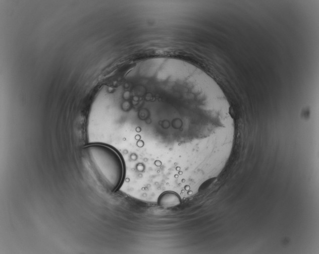 X0000115170650200911251335