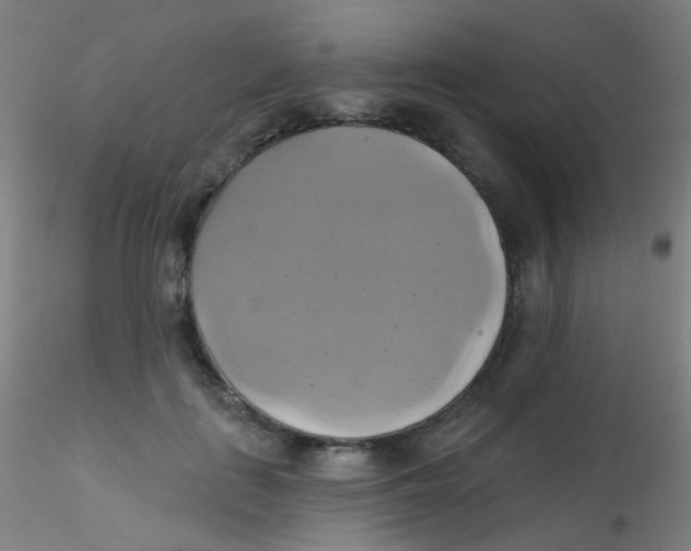 X0000115170651200911251335