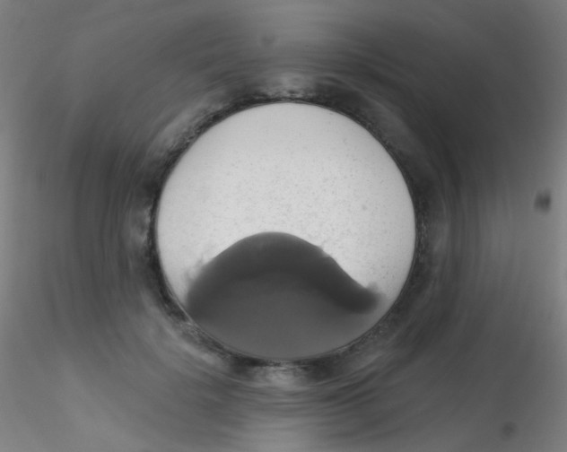 X0000115170652200911251335