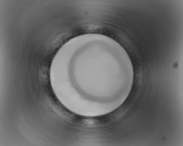 X0000115170654200911251335