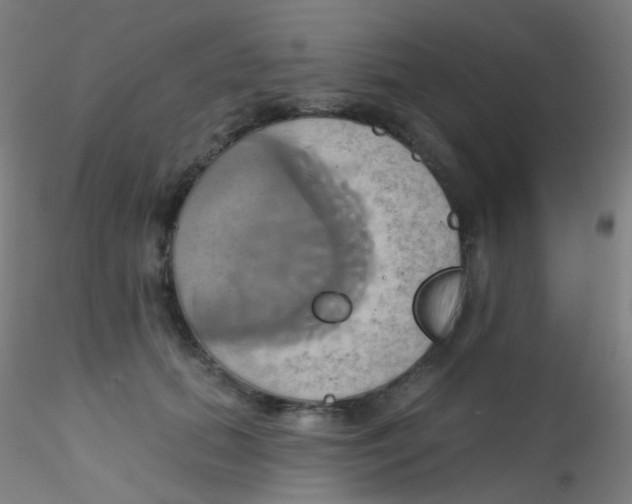 X0000115170655200911251335