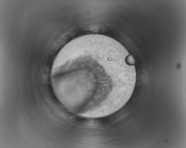 X0000115170656200911251335