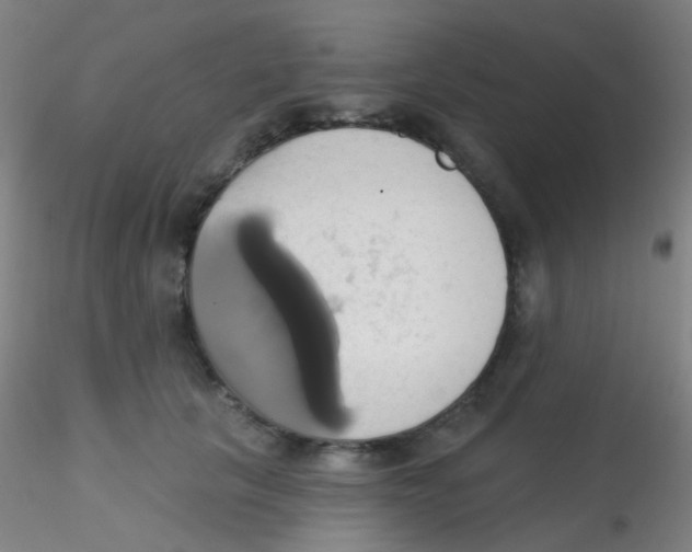 X0000115170657200911251335