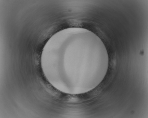 X0000115170658200911251335