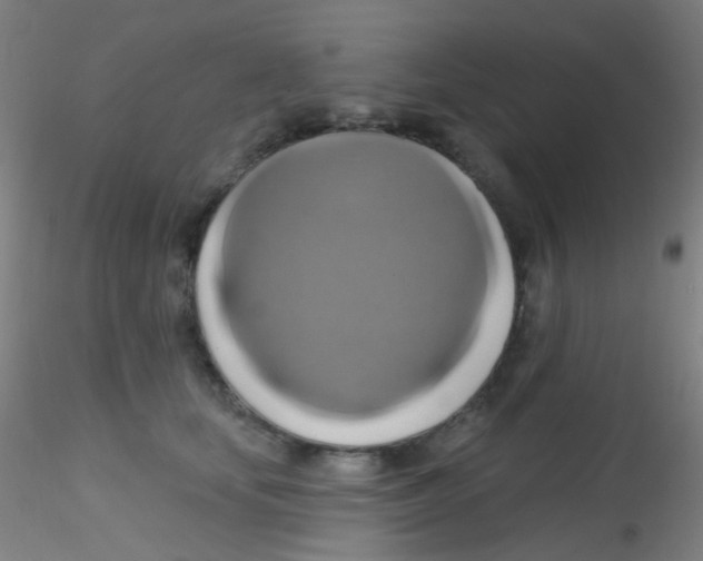 X0000115170659200911251335