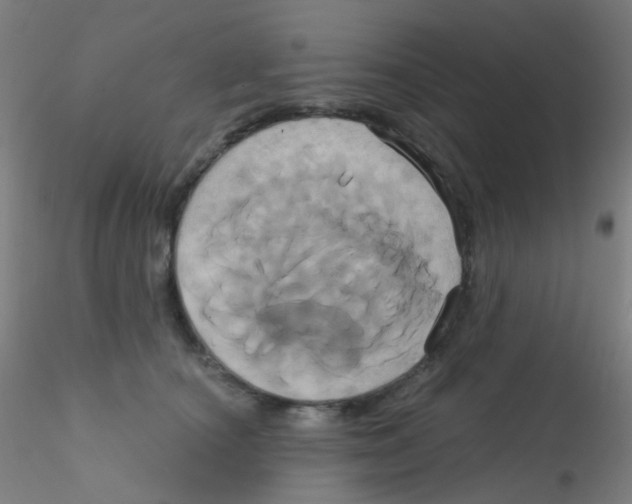 X0000115170660200911251335