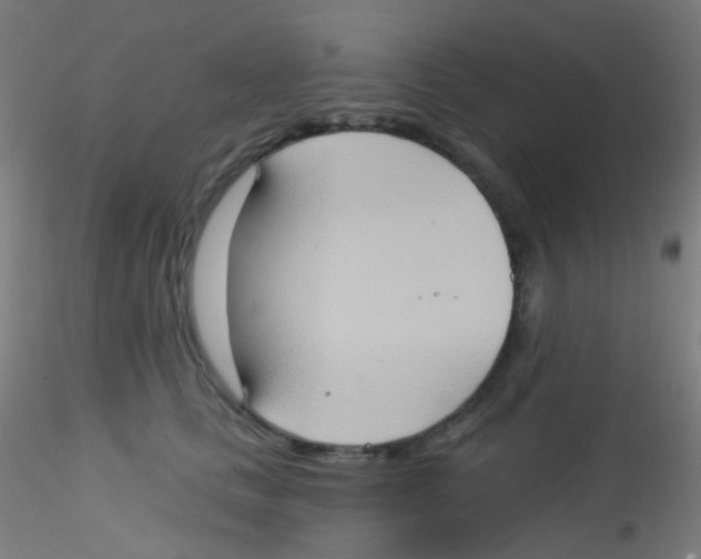 X0000115170661200911251335