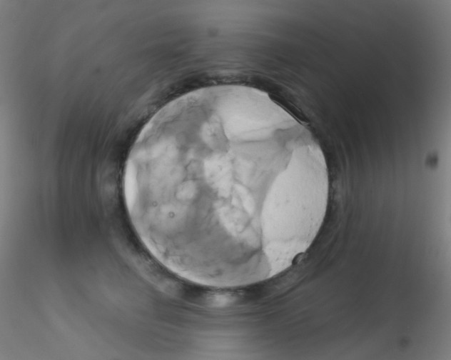 X0000115170662200911251335