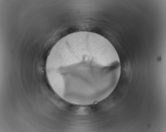 X0000115170663200911251335