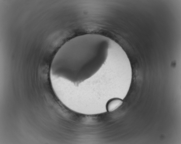 X0000115170664200911251335