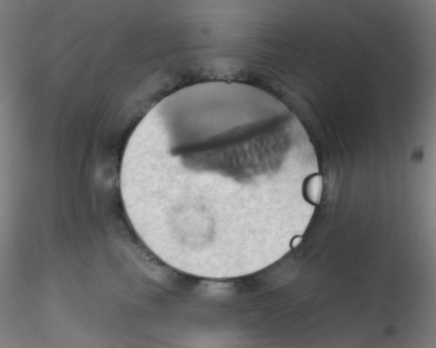 X0000115170665200911251335