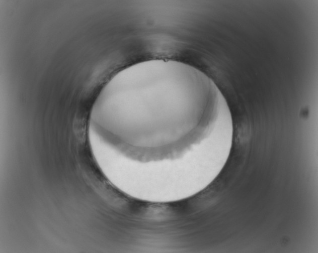 X0000115170666200911251335