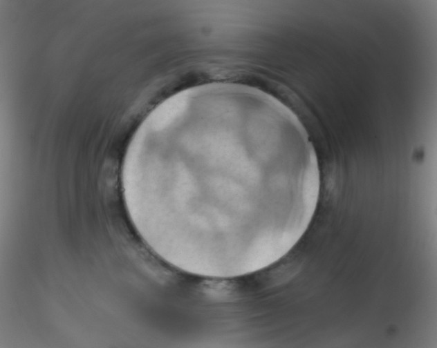 X0000115170667200911251335