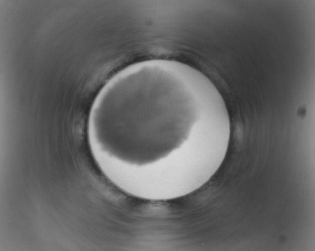 X0000115170668200911251335