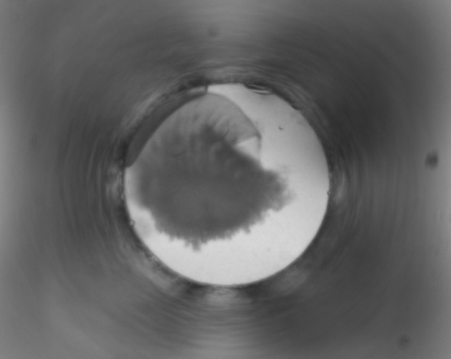 X0000115170669200911251335