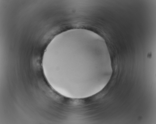 X0000115170670200911251335