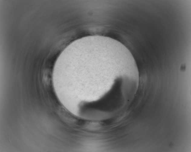 X0000115170671200911251335