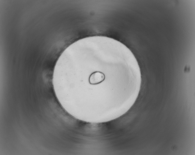 X0000115170672200911251335