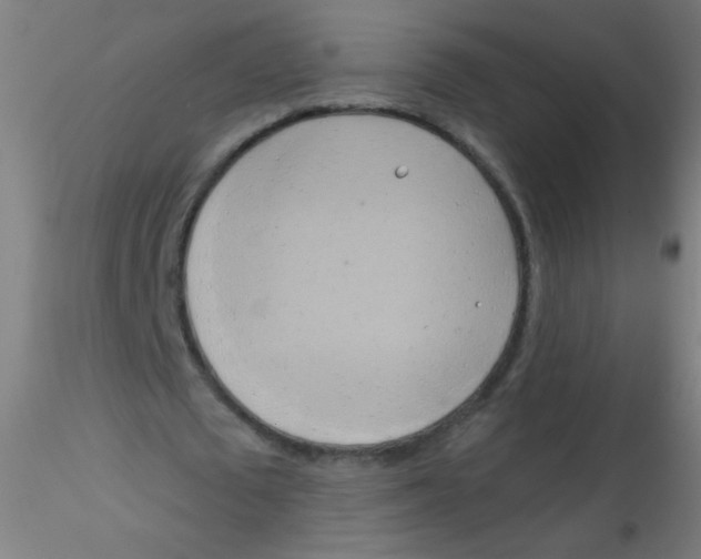 X0000115170673200911251334