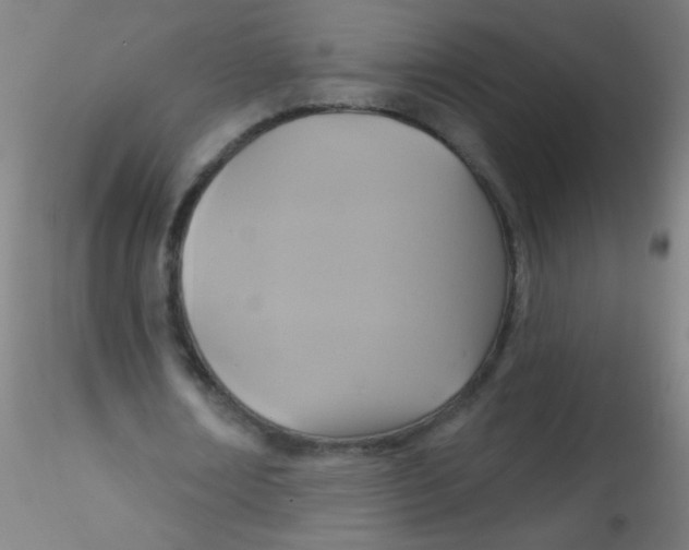 X0000115170674200911251334