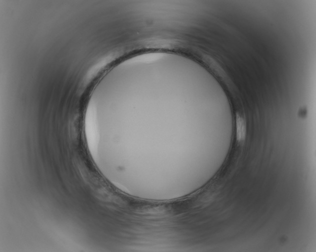 X0000115170675200911251334