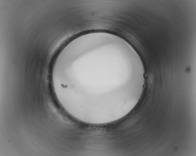 X0000115170676200911251334