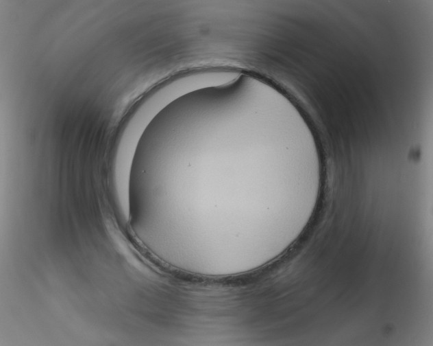 X0000115170677200911251334