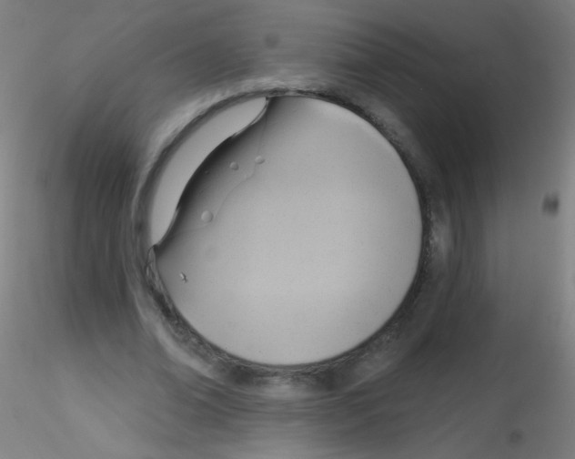 X0000115170678200911251334