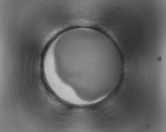 X0000115170679200911251334