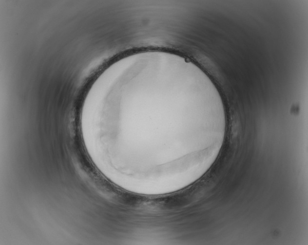 X0000115170680200911251334