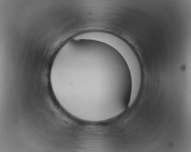 X0000115170681200911251334