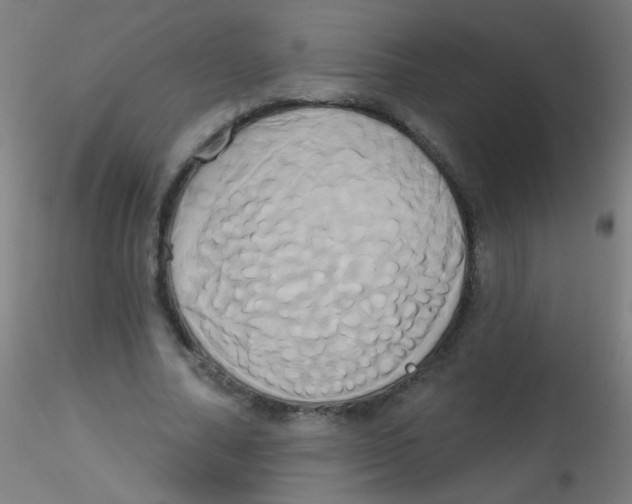 X0000115170682200911251334