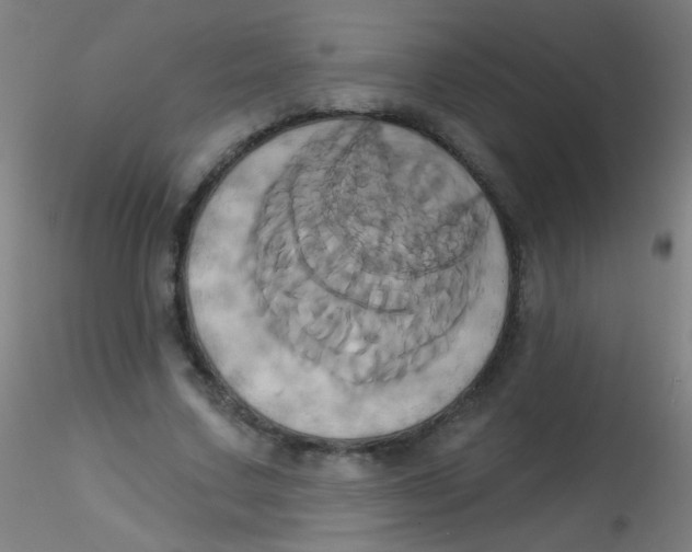 X0000115170683200911251334