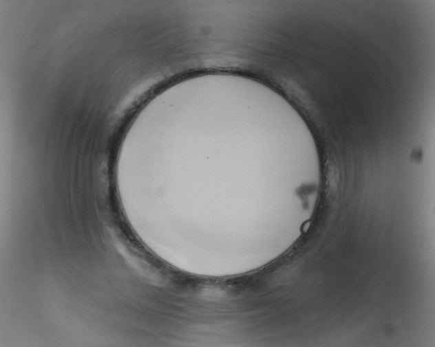 X0000115170684200911251334