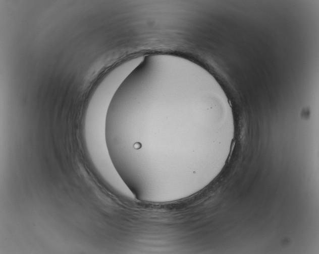 X0000115170685200911251334