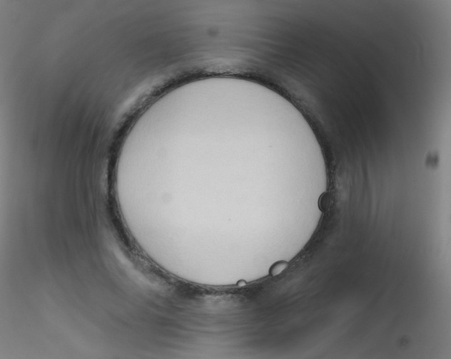 X0000115170686200911251334