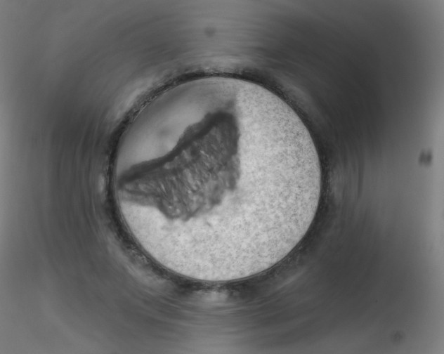 X0000115170687200911251334