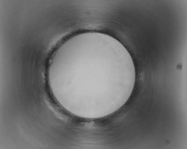 X0000115170688200911251334