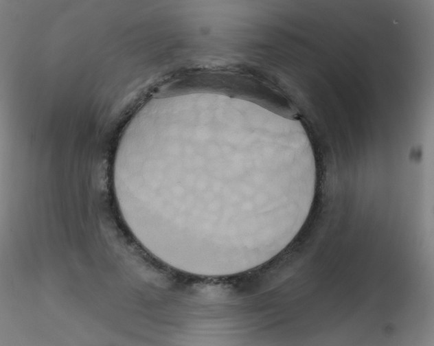 X0000115170689200911251334