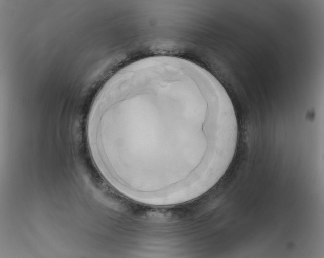 X0000115170690200911251334