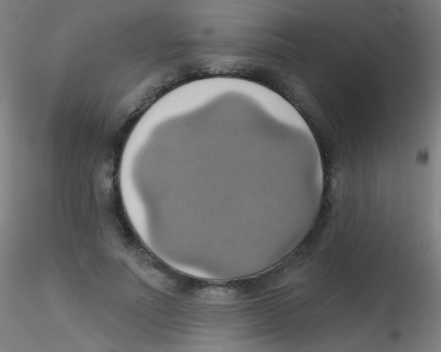 X0000115170691200911251334