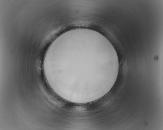 X0000115170692200911251334