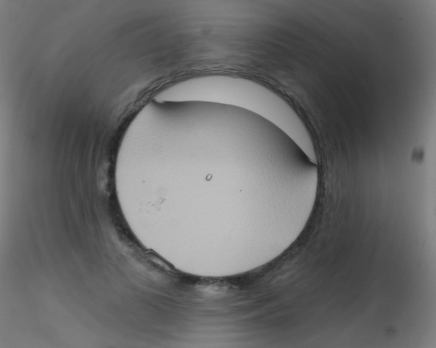 X0000115170693200911251334