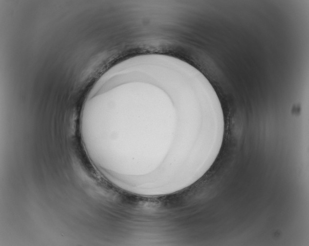 X0000115170694200911251334