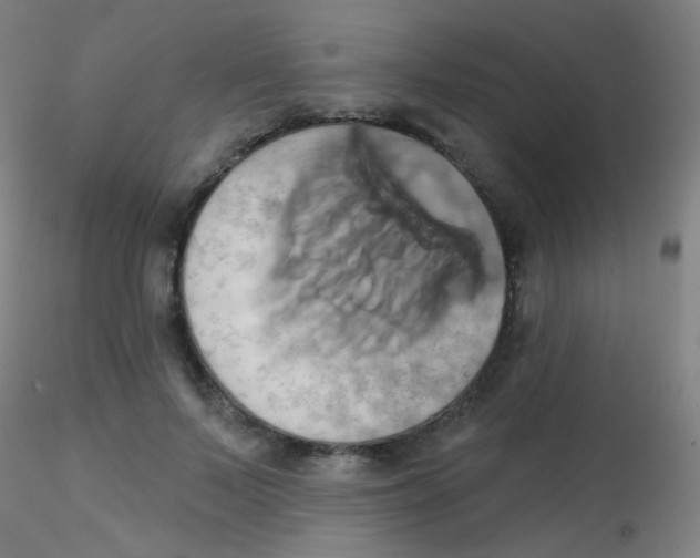 X0000115170695200911251334