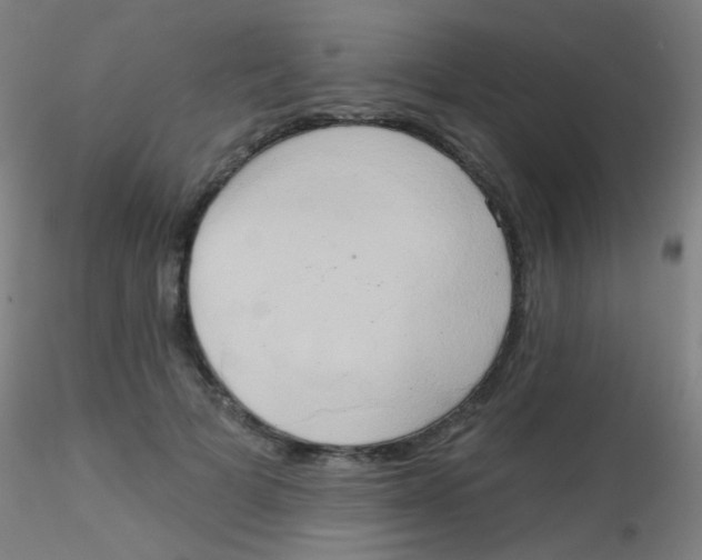 X0000115170697200911251334