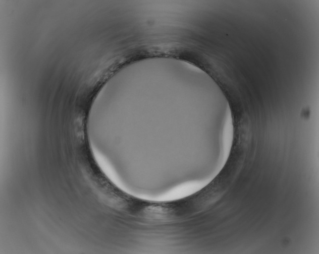 X0000115170699200911251334