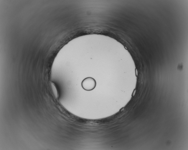 X0000115170701200911251334