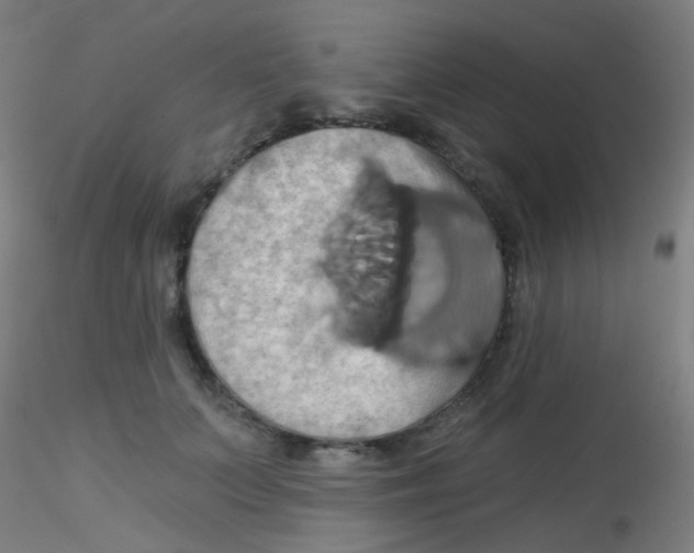 X0000115170703200911251334